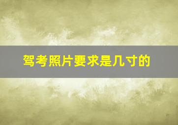 驾考照片要求是几寸的