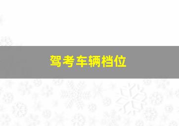 驾考车辆档位