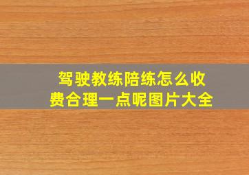 驾驶教练陪练怎么收费合理一点呢图片大全