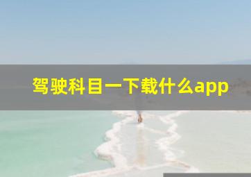 驾驶科目一下载什么app