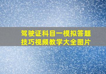 驾驶证科目一模拟答题技巧视频教学大全图片