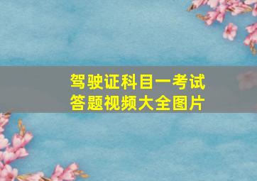 驾驶证科目一考试答题视频大全图片