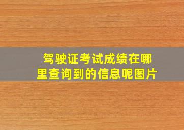 驾驶证考试成绩在哪里查询到的信息呢图片