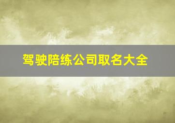 驾驶陪练公司取名大全