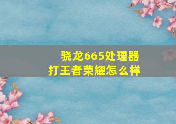 骁龙665处理器打王者荣耀怎么样