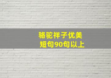 骆驼祥子优美短句90句以上