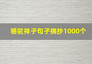 骆驼祥子句子摘抄1000个