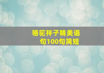 骆驼祥子精美语句100句简短