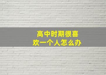 高中时期很喜欢一个人怎么办