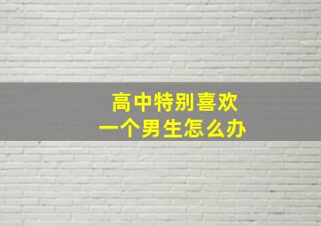 高中特别喜欢一个男生怎么办