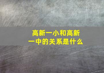 高新一小和高新一中的关系是什么