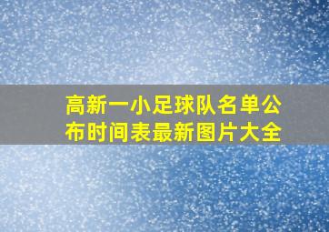 高新一小足球队名单公布时间表最新图片大全