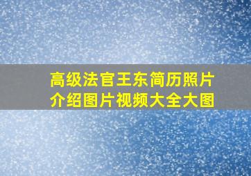 高级法官王东简历照片介绍图片视频大全大图