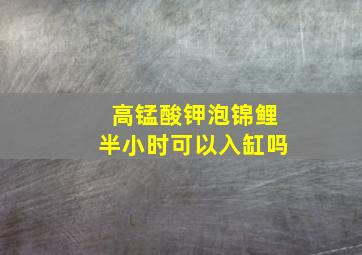 高锰酸钾泡锦鲤半小时可以入缸吗