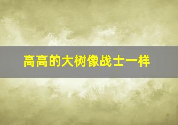 高高的大树像战士一样