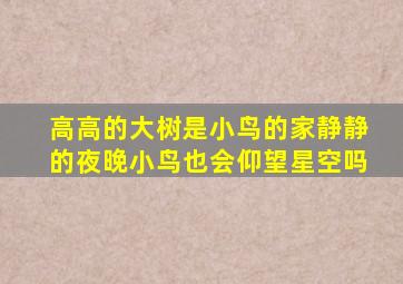 高高的大树是小鸟的家静静的夜晚小鸟也会仰望星空吗