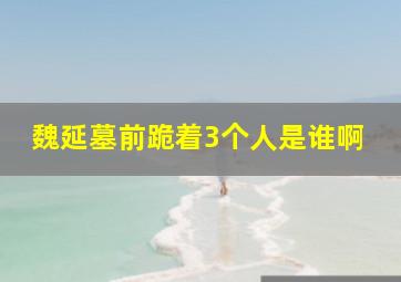 魏延墓前跪着3个人是谁啊