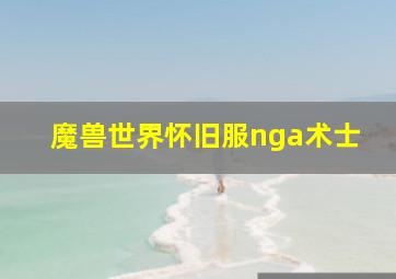 魔兽世界怀旧服nga术士