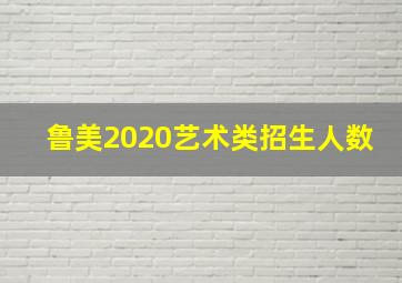 鲁美2020艺术类招生人数