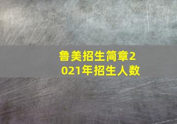 鲁美招生简章2021年招生人数