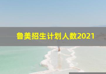 鲁美招生计划人数2021