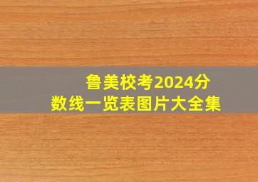 鲁美校考2024分数线一览表图片大全集