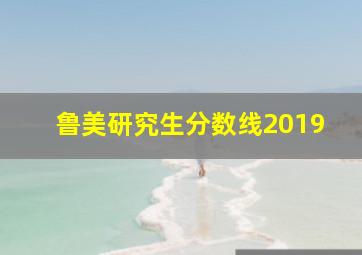 鲁美研究生分数线2019