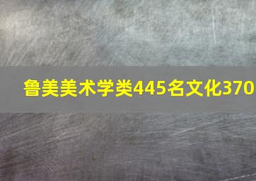 鲁美美术学类445名文化370