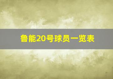 鲁能20号球员一览表