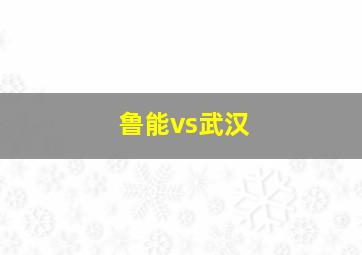 鲁能vs武汉