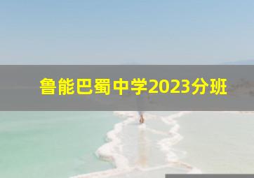 鲁能巴蜀中学2023分班