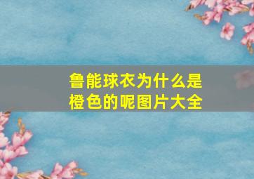 鲁能球衣为什么是橙色的呢图片大全