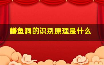 鳝鱼洞的识别原理是什么