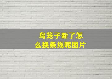 鸟笼子断了怎么换条线呢图片