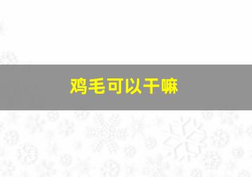 鸡毛可以干嘛