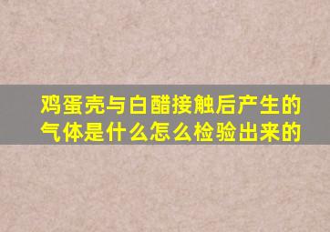 鸡蛋壳与白醋接触后产生的气体是什么怎么检验出来的