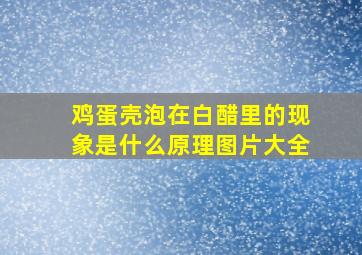 鸡蛋壳泡在白醋里的现象是什么原理图片大全