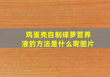 鸡蛋壳自制绿萝营养液的方法是什么呢图片