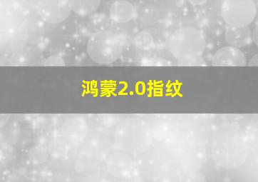 鸿蒙2.0指纹