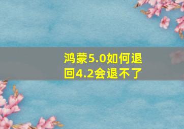 鸿蒙5.0如何退回4.2会退不了