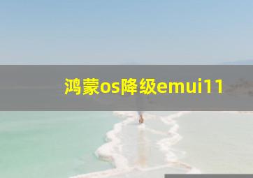 鸿蒙os降级emui11