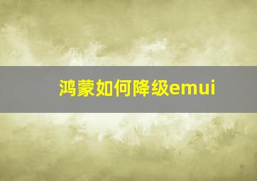 鸿蒙如何降级emui