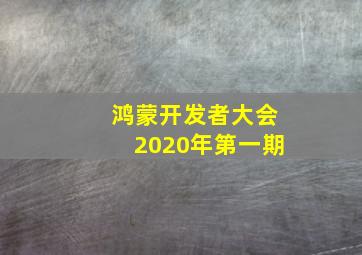 鸿蒙开发者大会2020年第一期