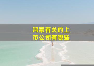 鸿蒙有关的上市公司有哪些