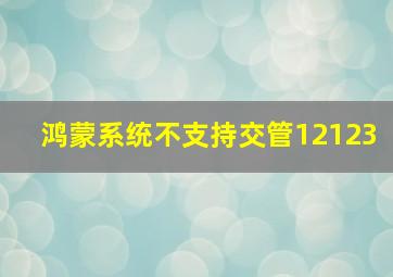 鸿蒙系统不支持交管12123