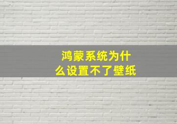 鸿蒙系统为什么设置不了壁纸