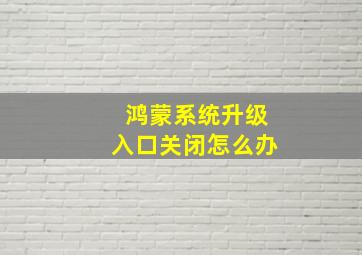 鸿蒙系统升级入口关闭怎么办