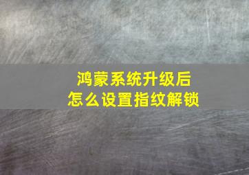 鸿蒙系统升级后怎么设置指纹解锁