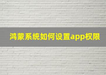 鸿蒙系统如何设置app权限