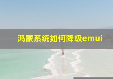 鸿蒙系统如何降级emui